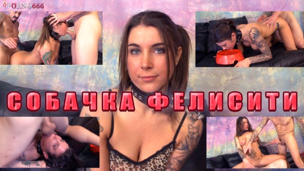Порно-кастинг: сучка просит трахать ее как собаку-скотину! Русская озвучка